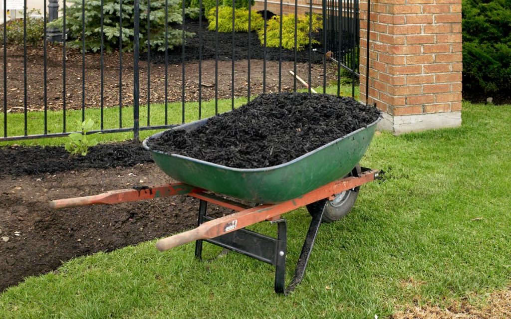 Mulch Installation